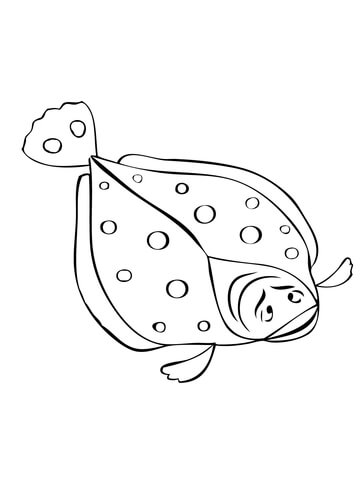 Flounder Fish Coloring Page